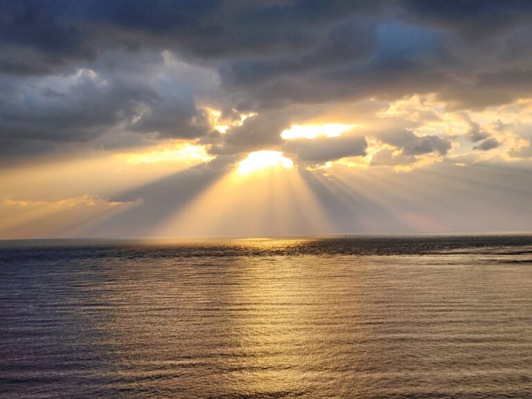 A peaceful natural scene for practicing Observing the Mind meditation